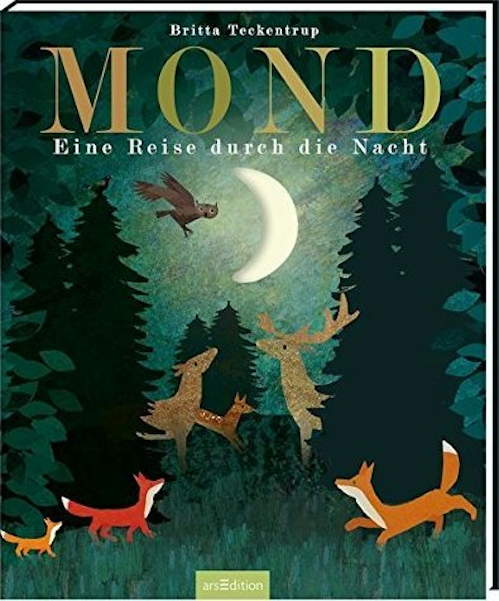mond eine reise durch die nacht