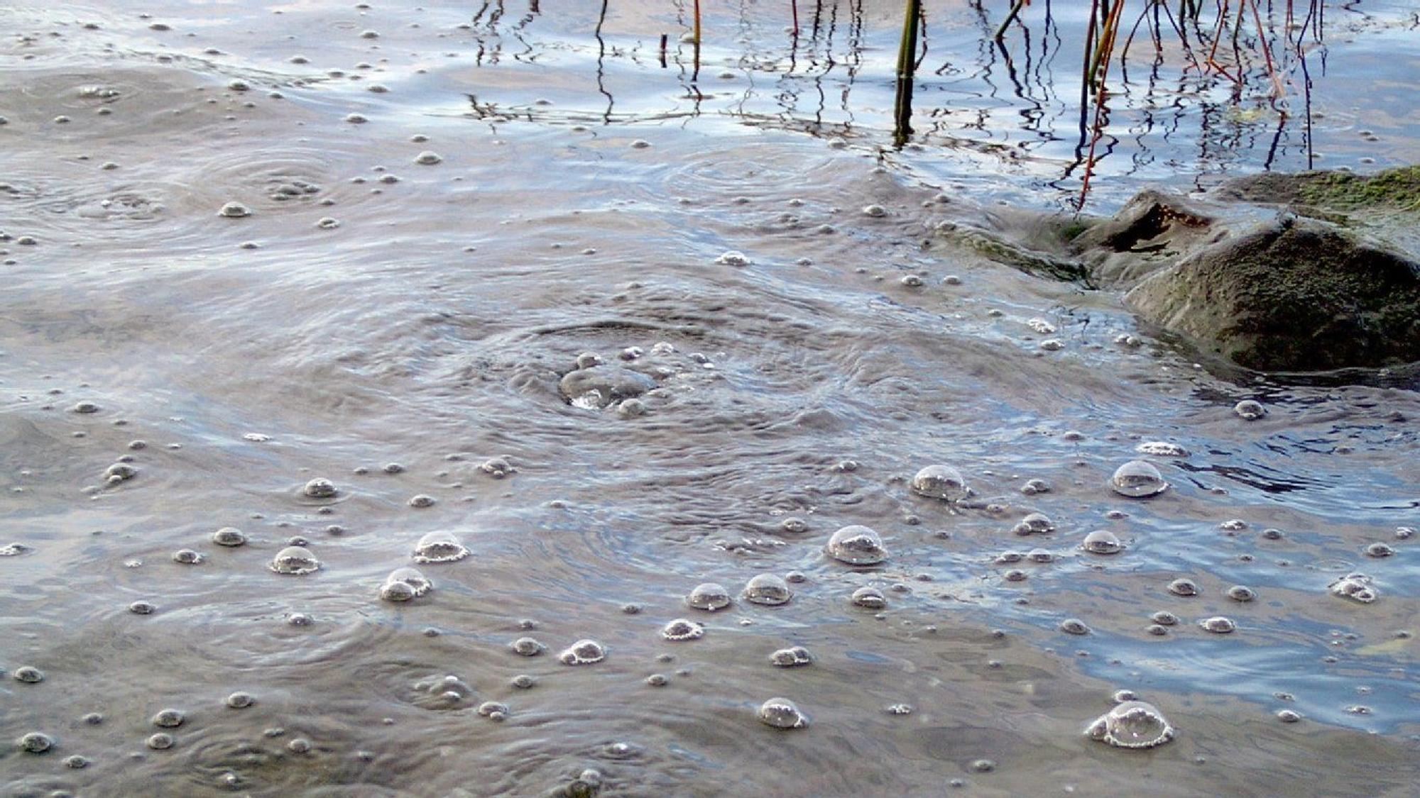 Mofetten - Laacher See.