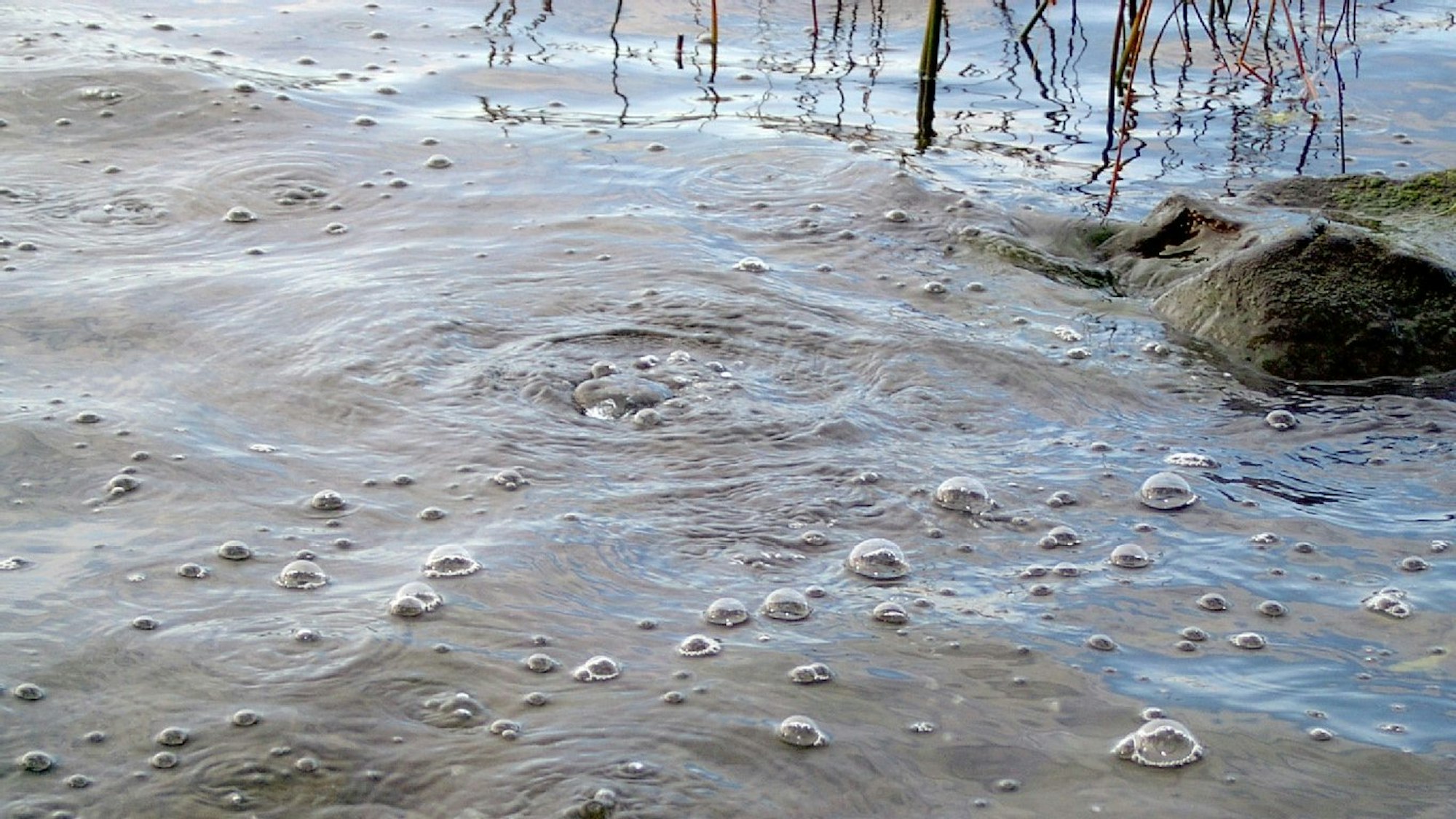 Mofetten - Laacher See.