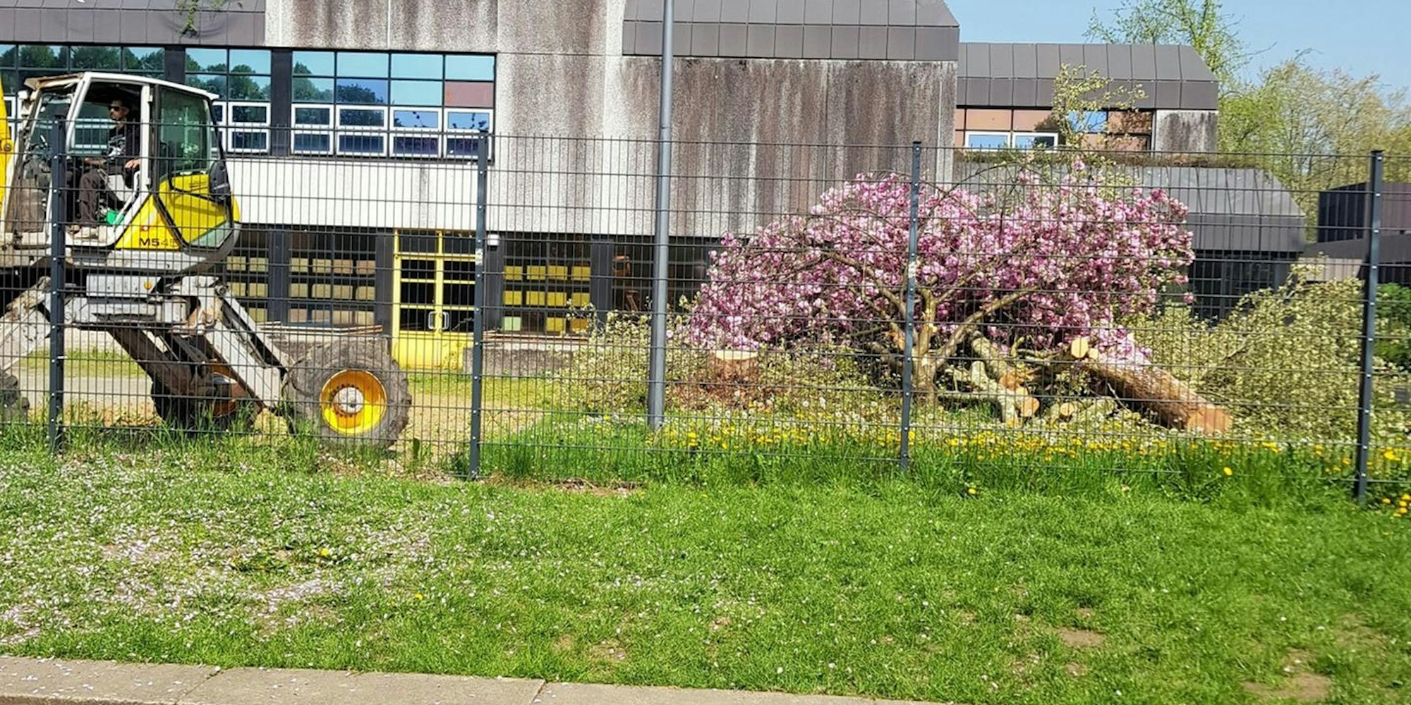 Bild Gymnasium Weiden