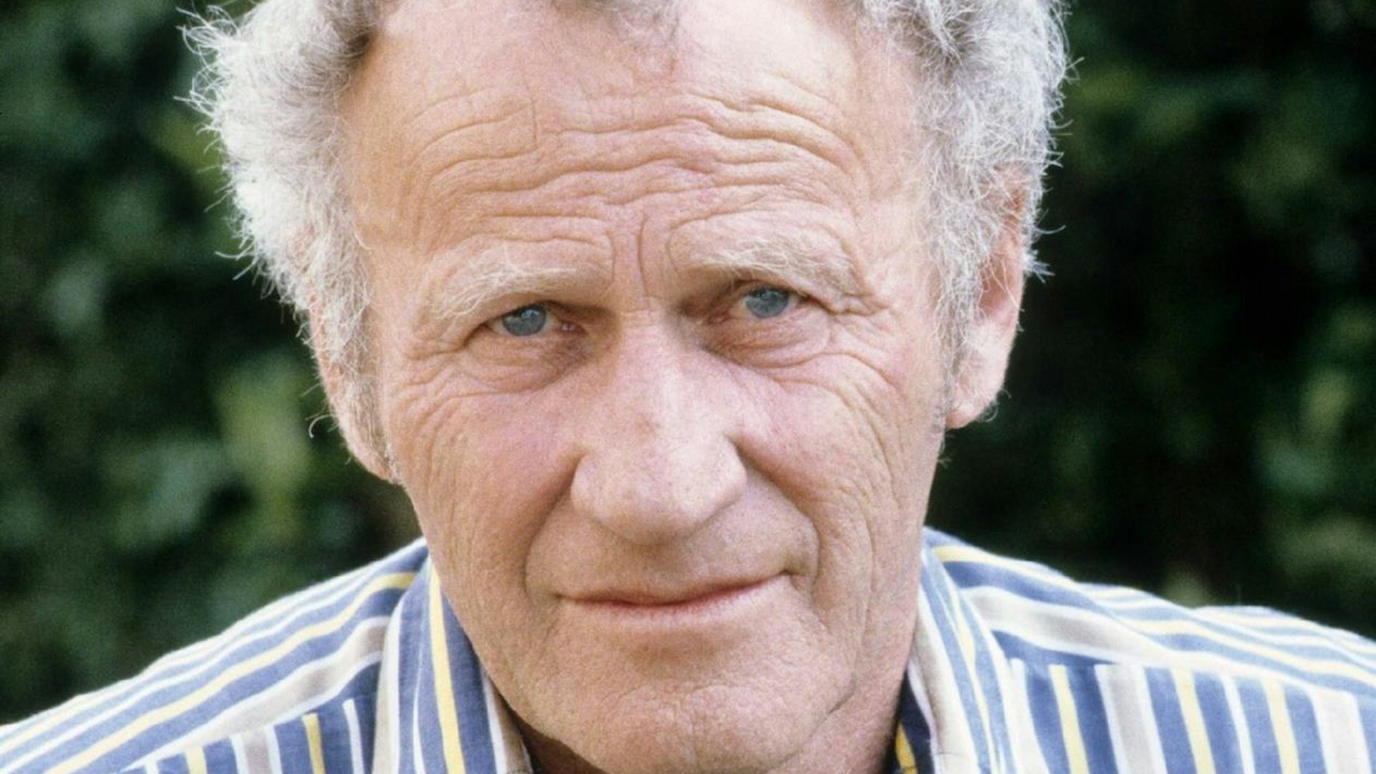 Max von der Grün imago teutopress