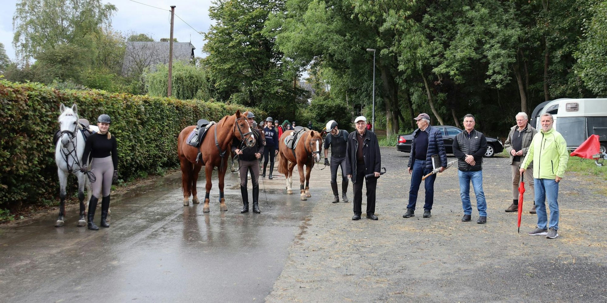 aef-kornspringer-okt-3