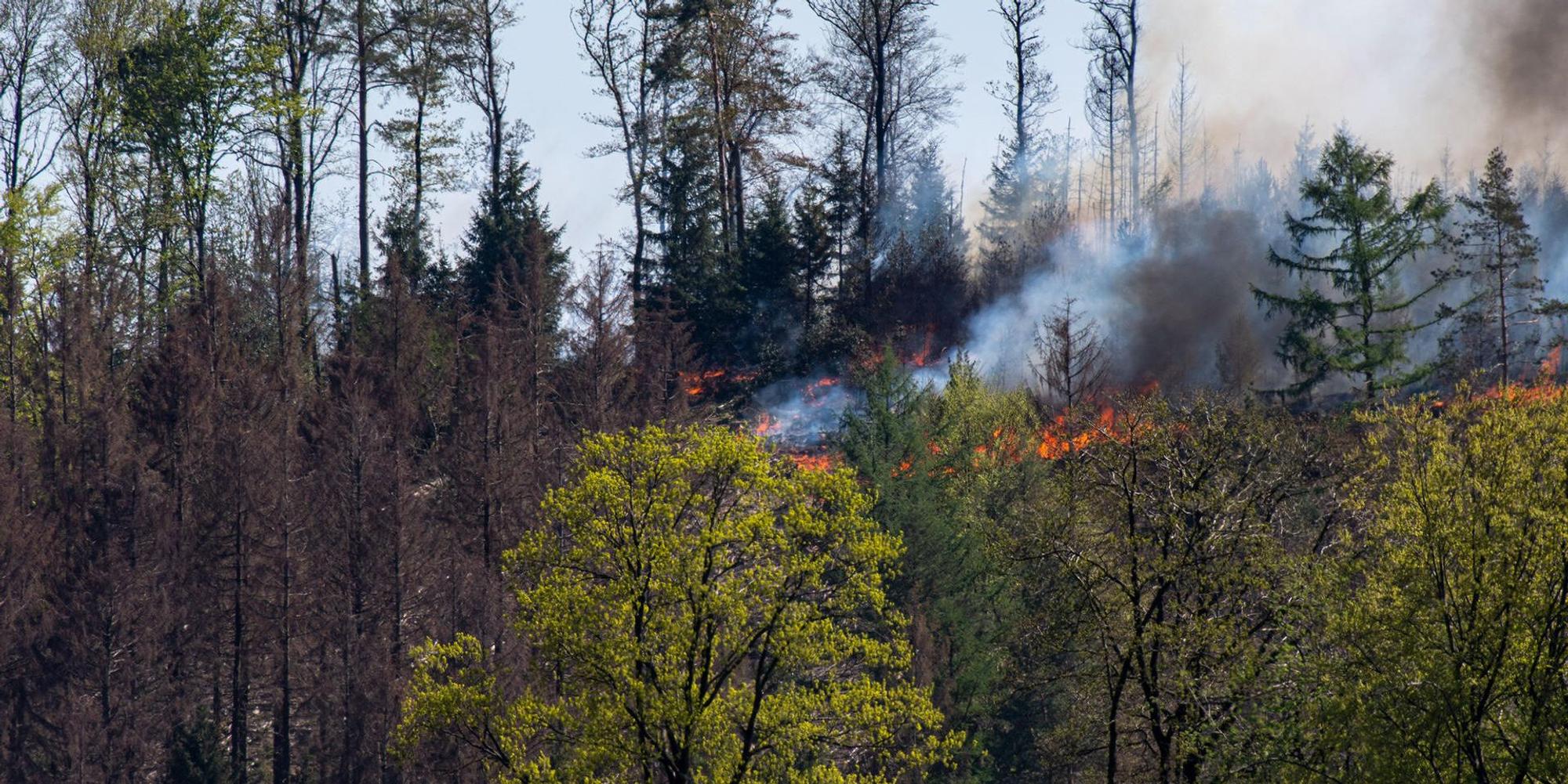 Brand Gummersbach 3