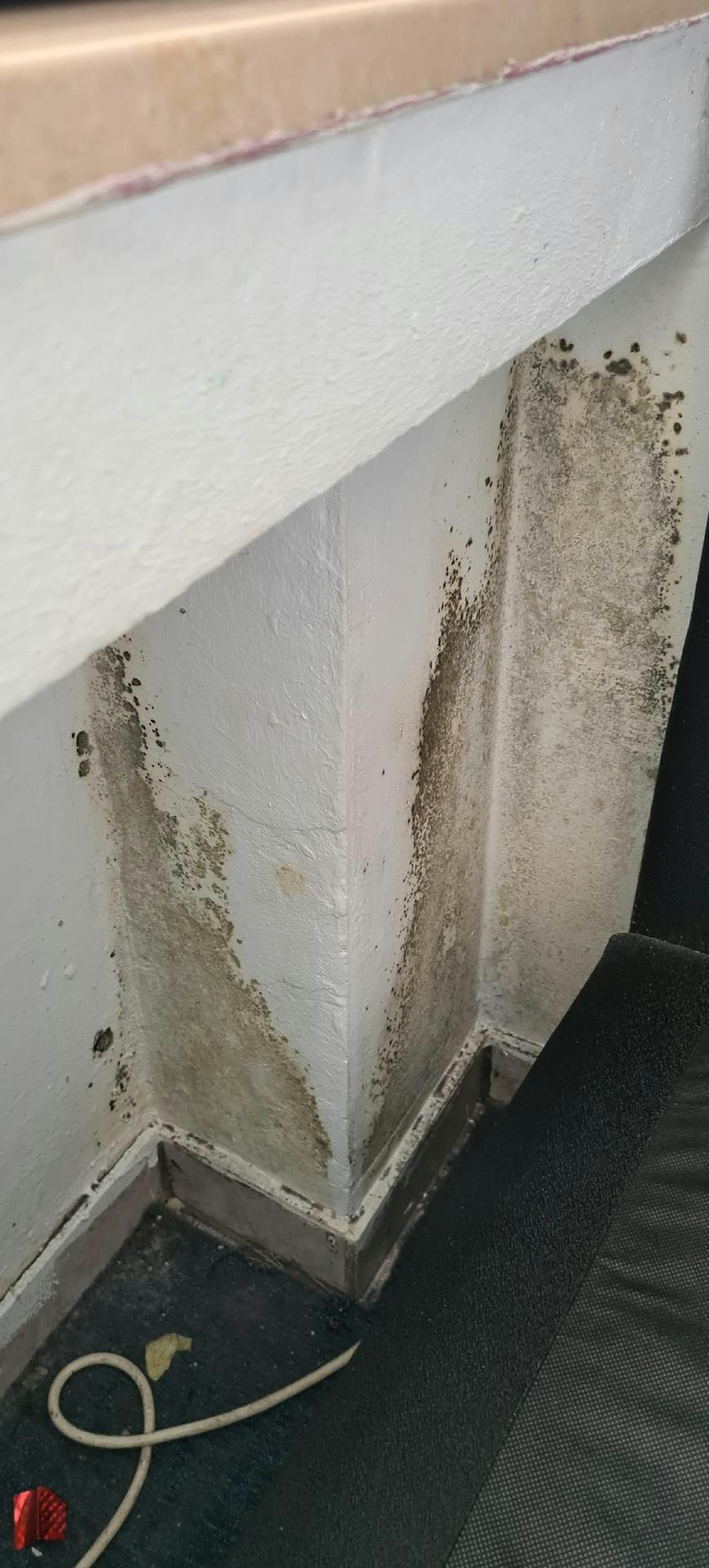 Schimmel Hochhaus Bergheim II