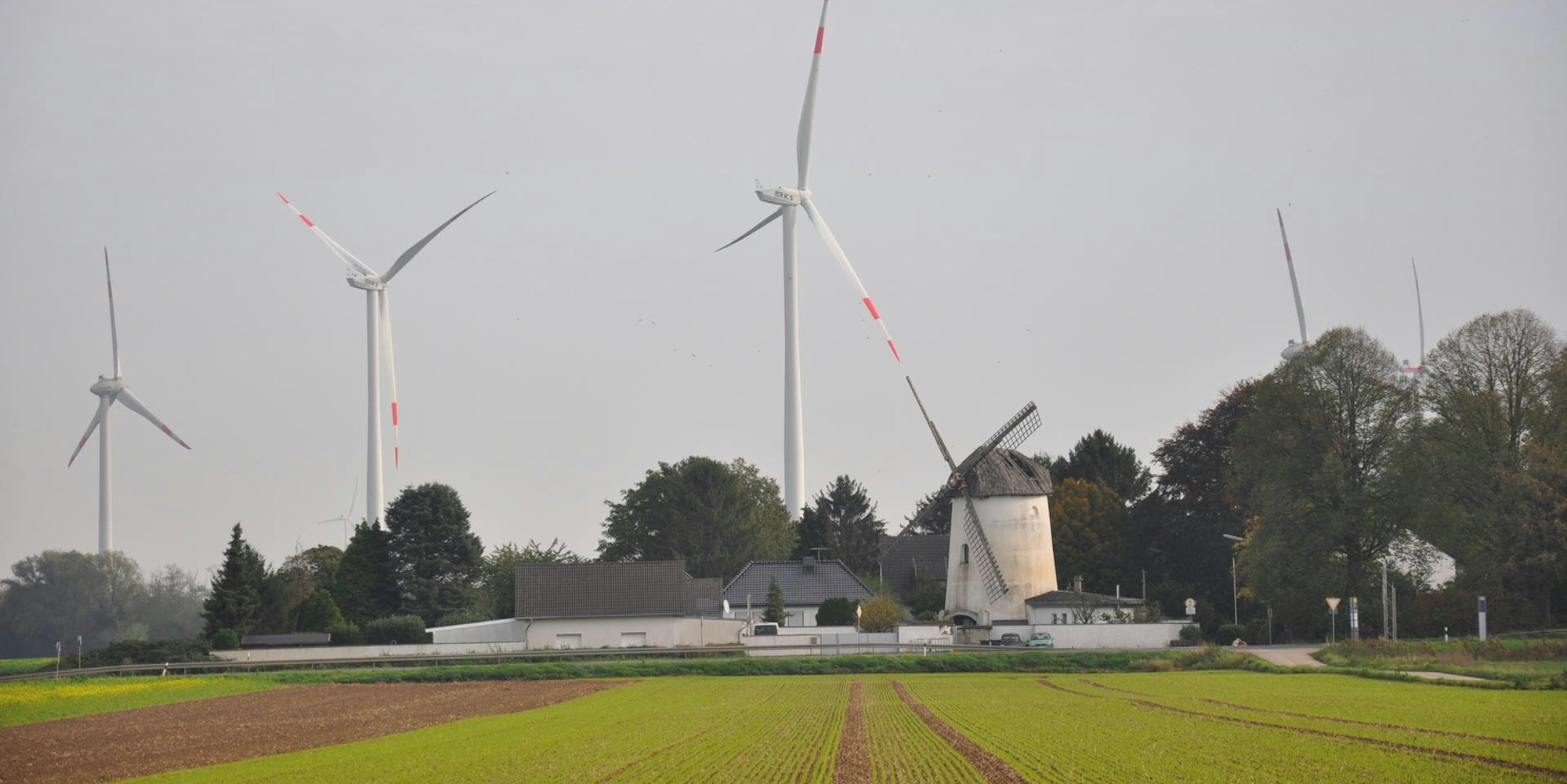 el-Heimatcheck-Niederembt-Muehle-FTZ_(15)