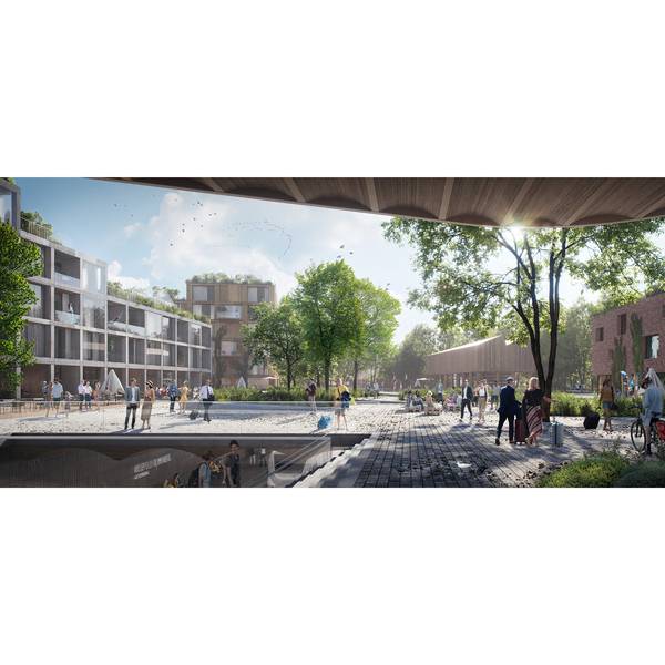 Visualisierung_Kreuzfeld