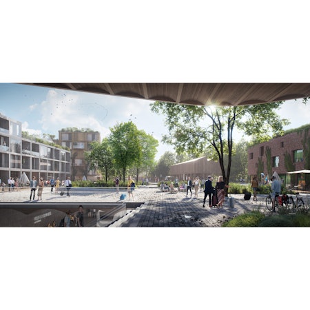 Visualisierung_Kreuzfeld