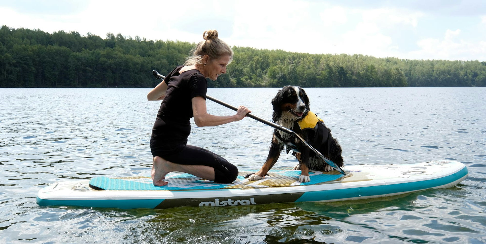stand up paddeln mit hund