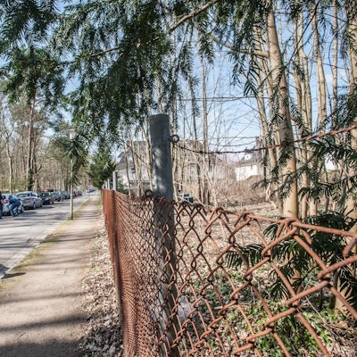 nittumer_weg_rar_rle_03252022ALF_3559