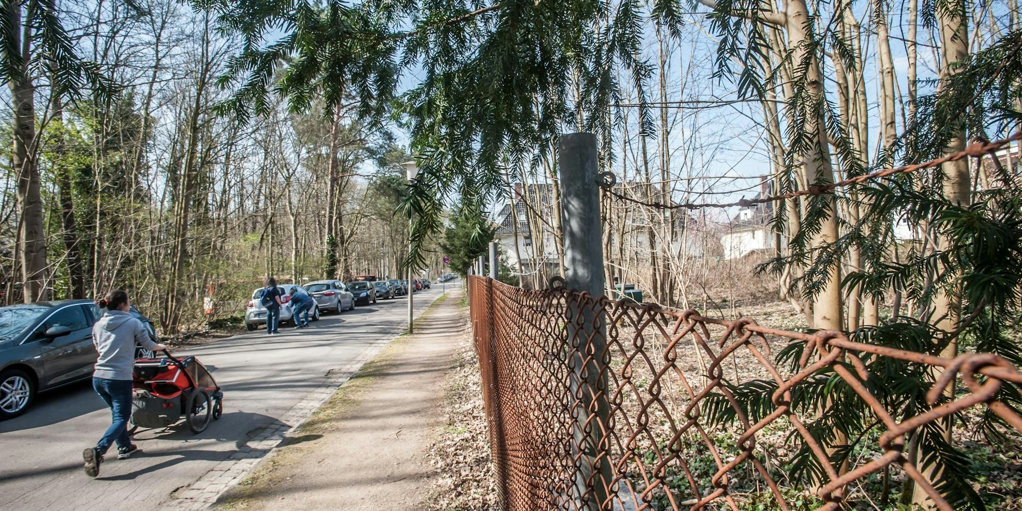nittumer_weg_rar_rle_03252022ALF_3559