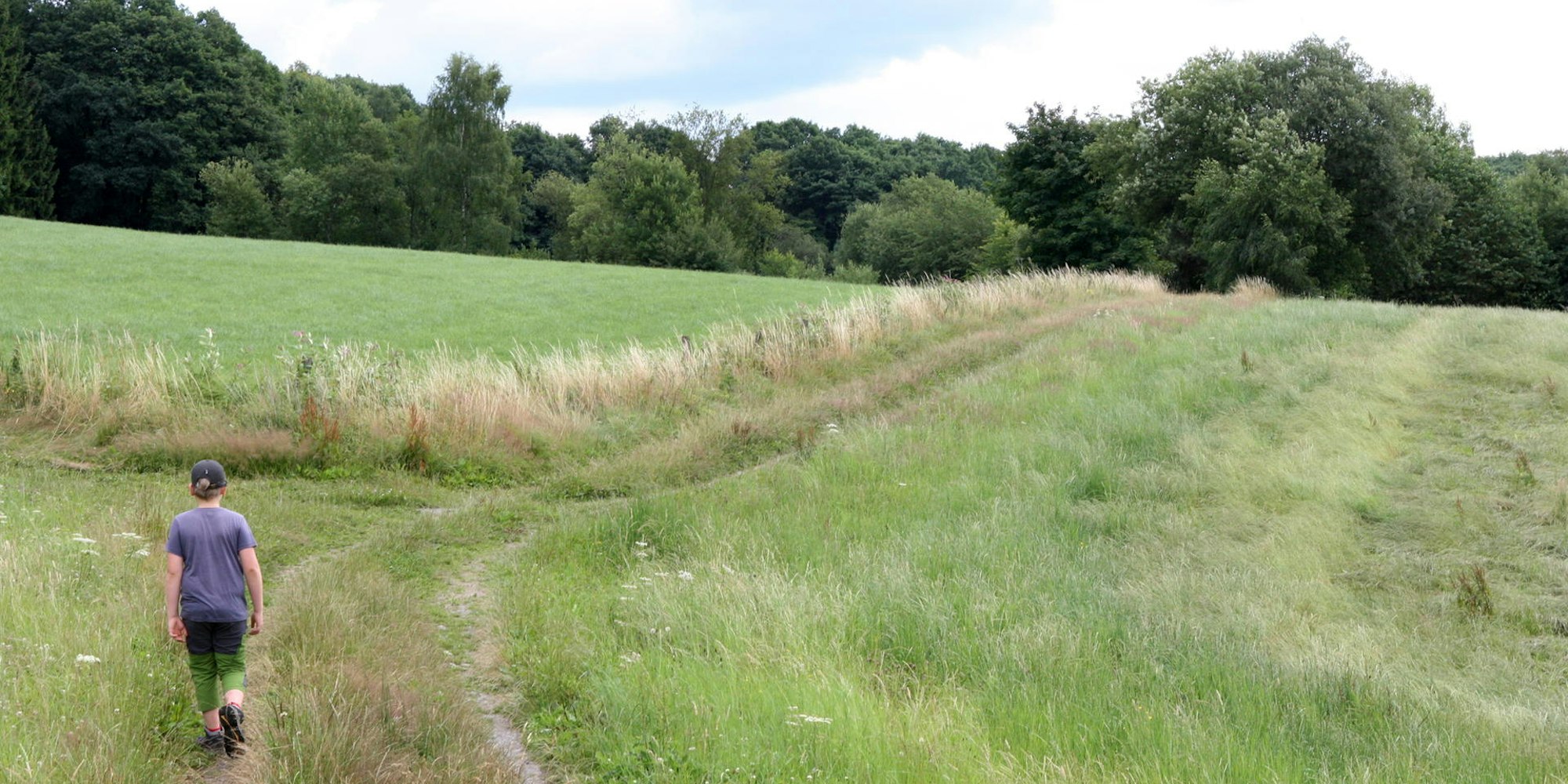 Heidenstraße Jakobsweg