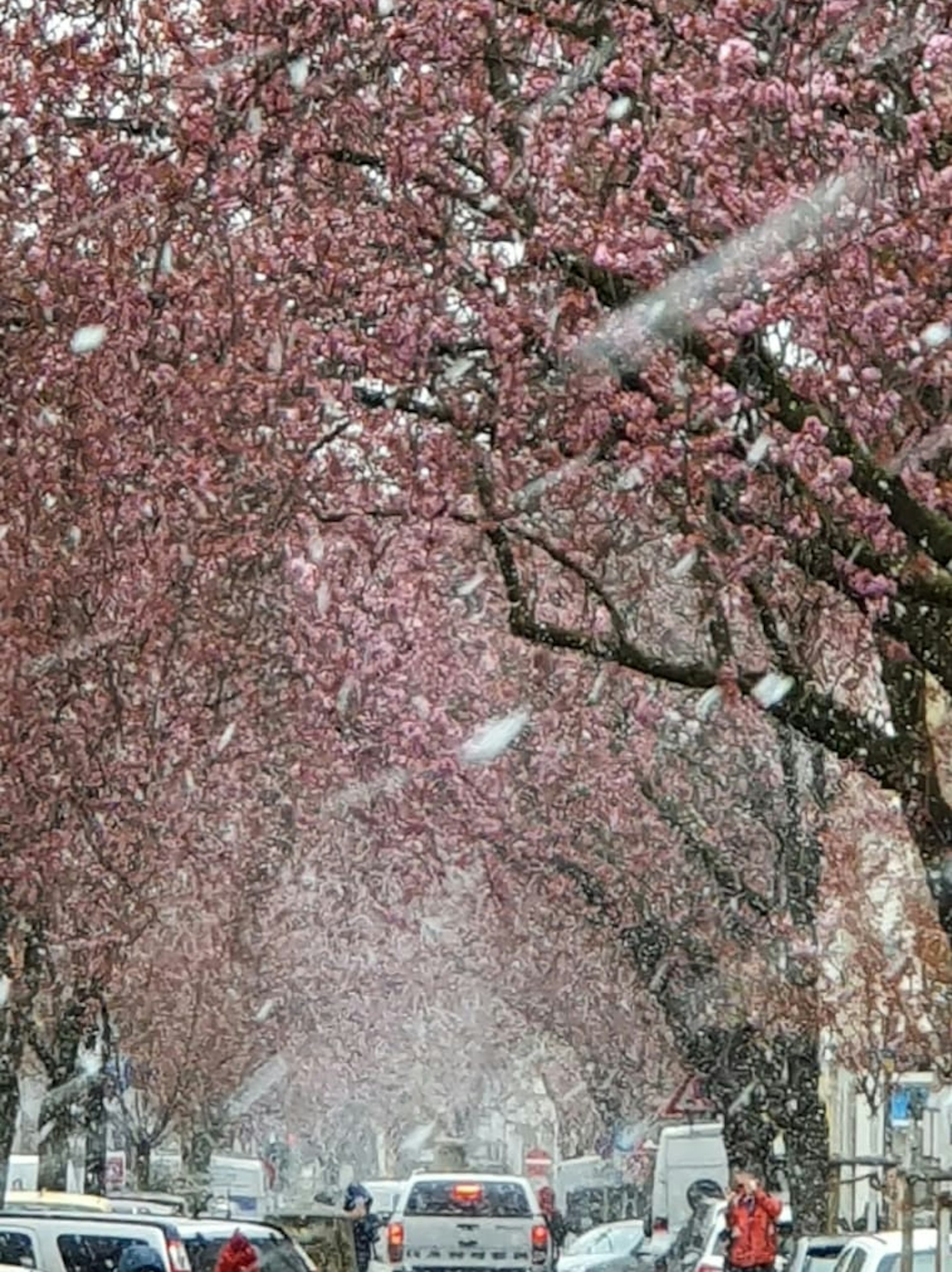Schneetreiben_Altstadt_Bonn1