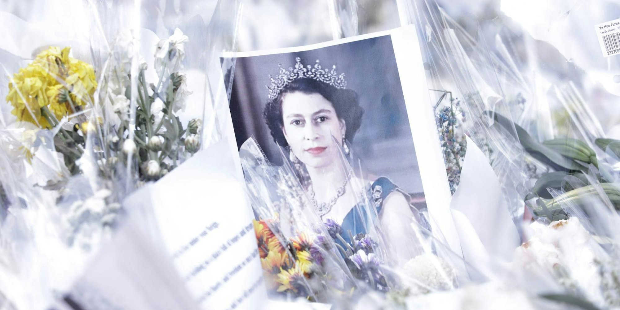 Gedenken an Queen imago