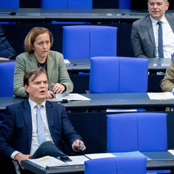 AfD im Bunedstag