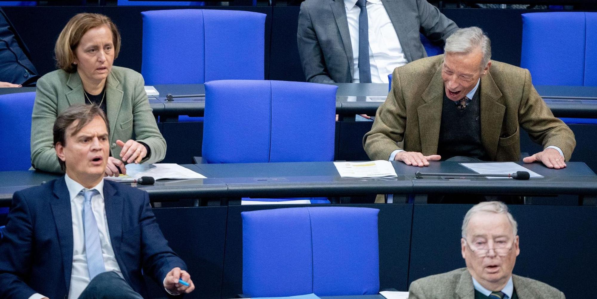 AfD im Bunedstag