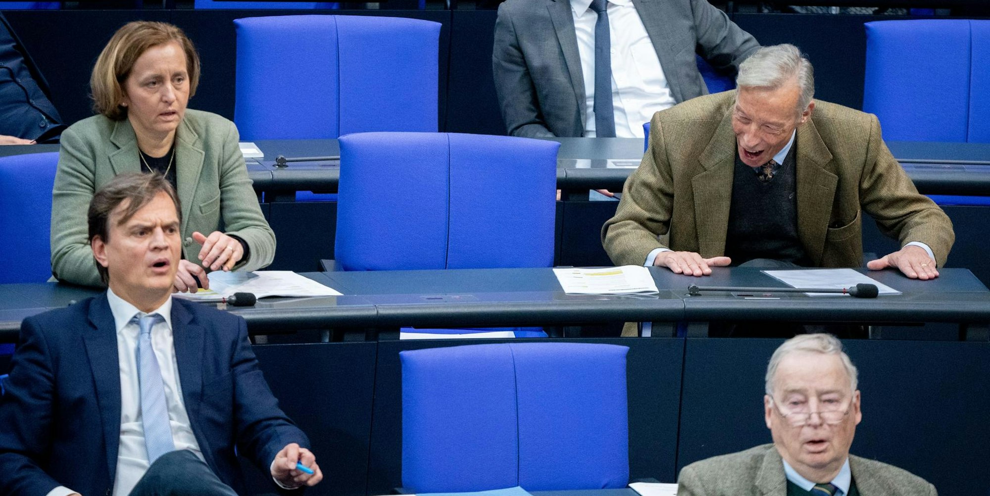 AfD im Bunedstag