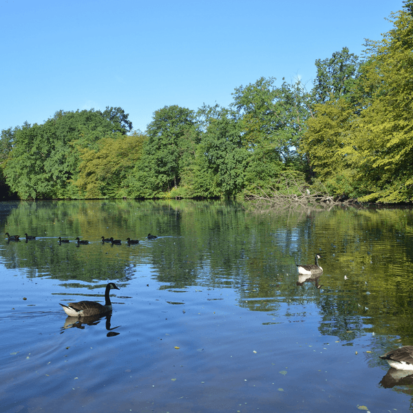 Kahnweiher