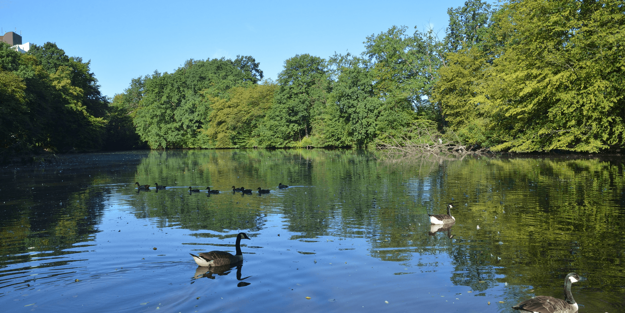 Kahnweiher