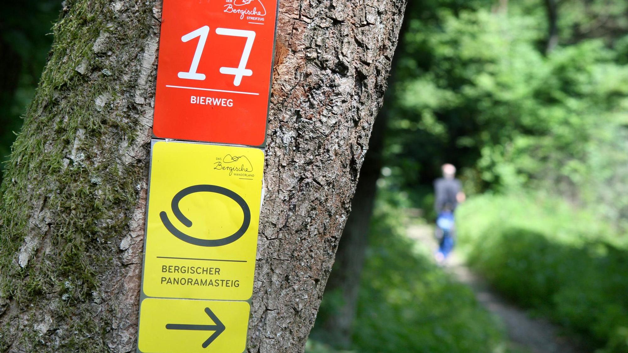 Bierweg