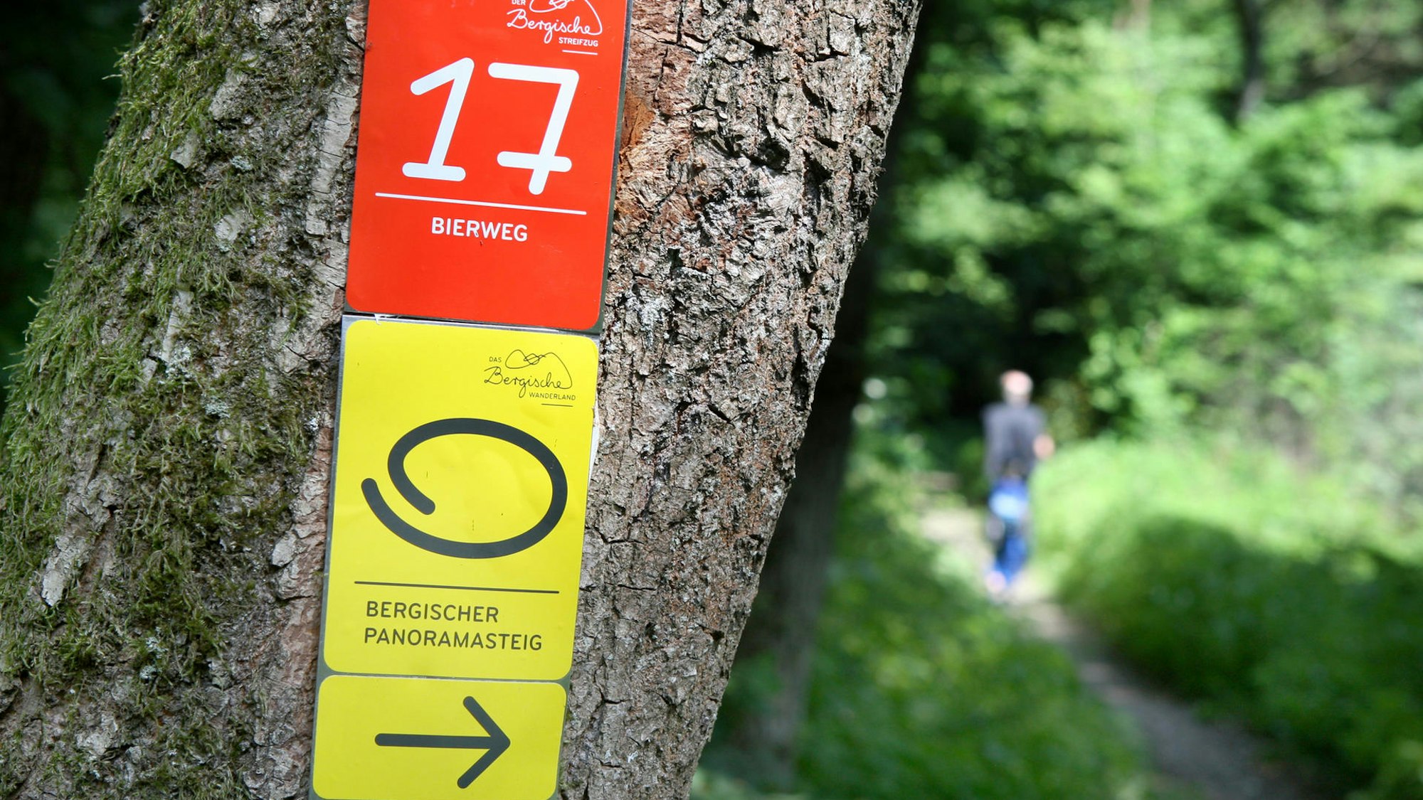 Bierweg