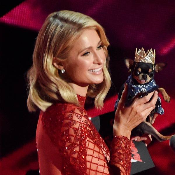 Paris Hilton sucht ihren Hund