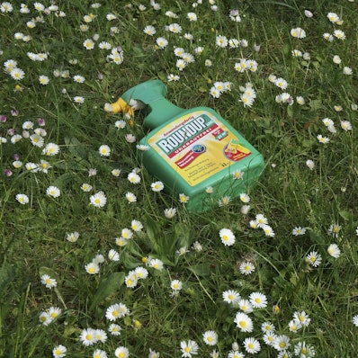 Glyphosat Roundup Symbolbild