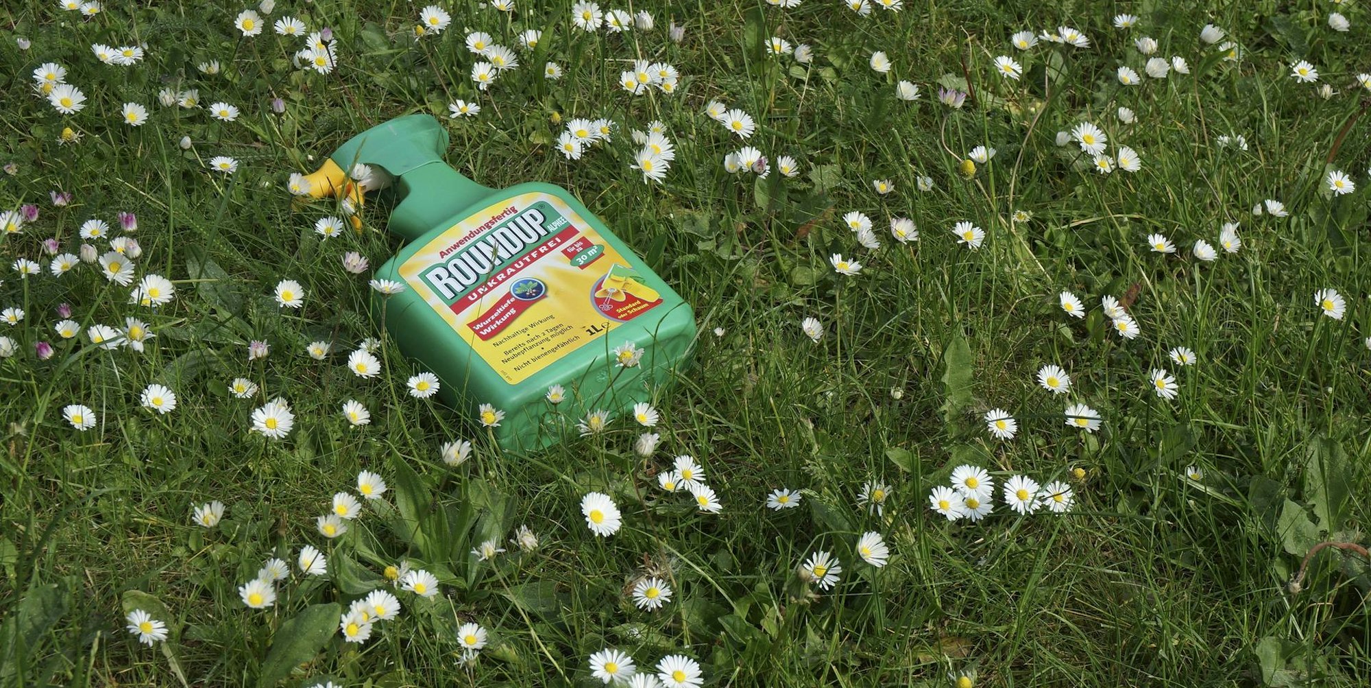 Glyphosat Roundup Symbolbild