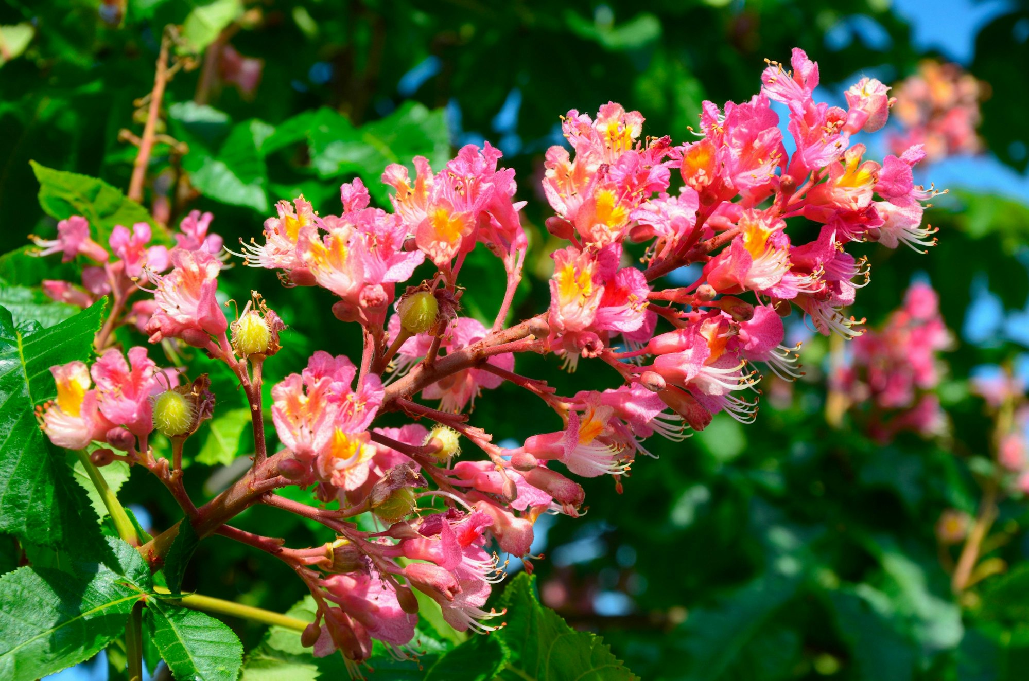 584826_original_R_K_B_by_Horst Schröder_pixelio.de (2)