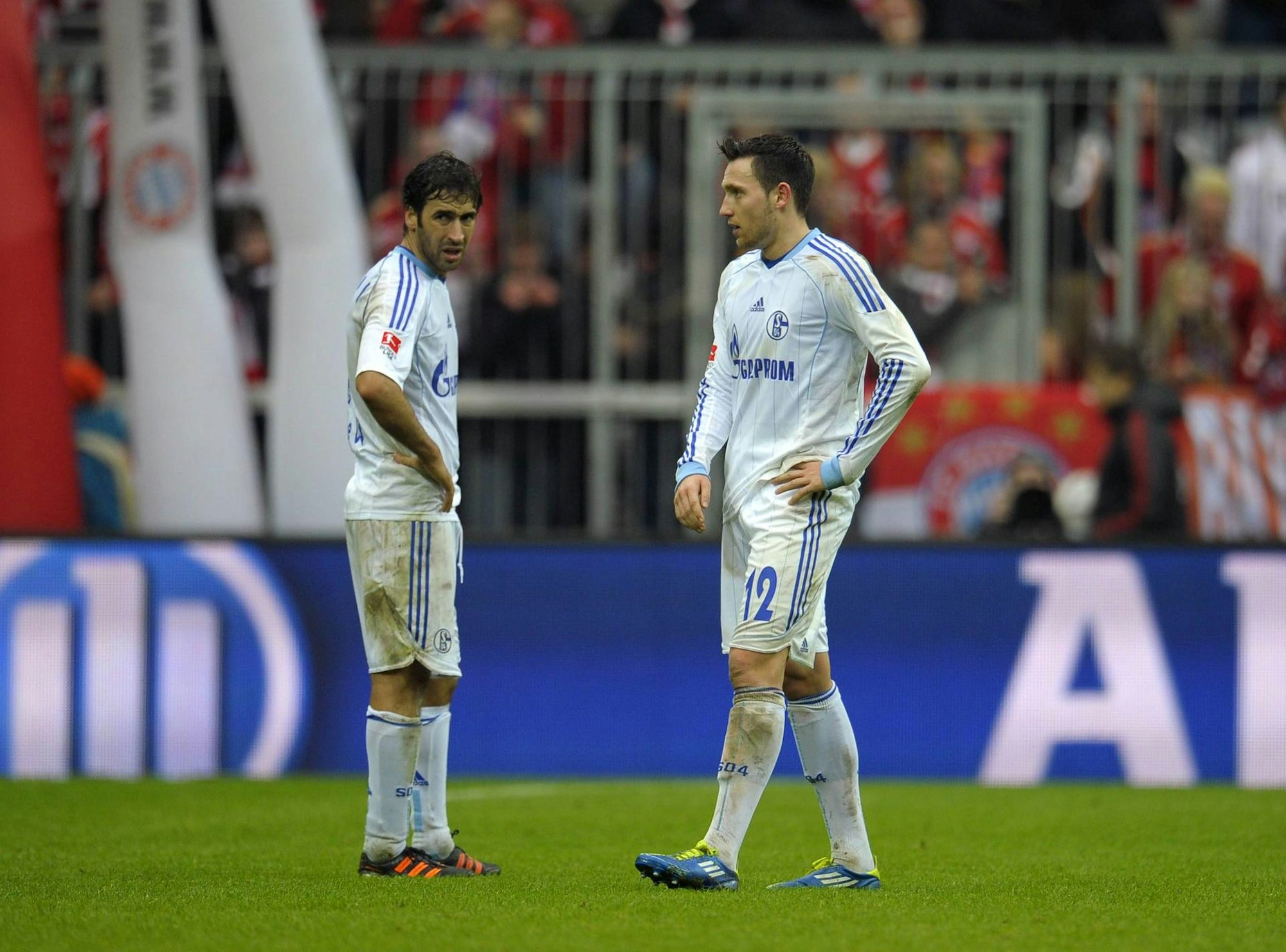 Raul