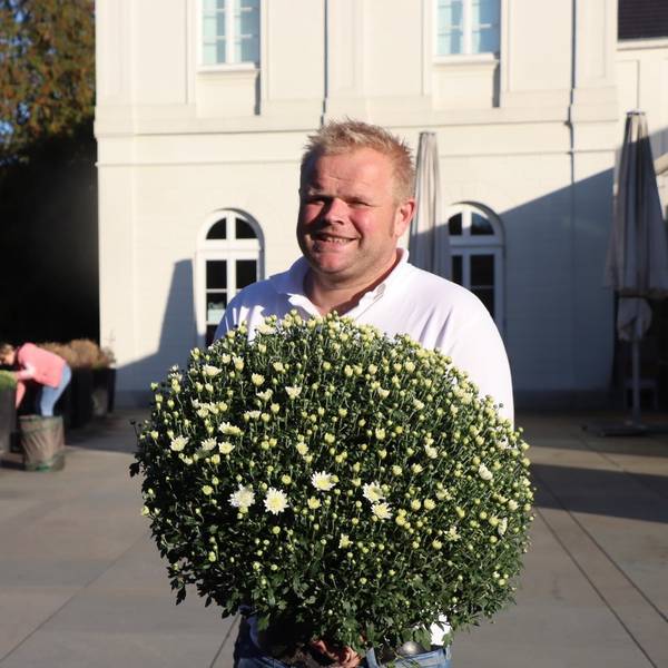 Neuer Inhalt