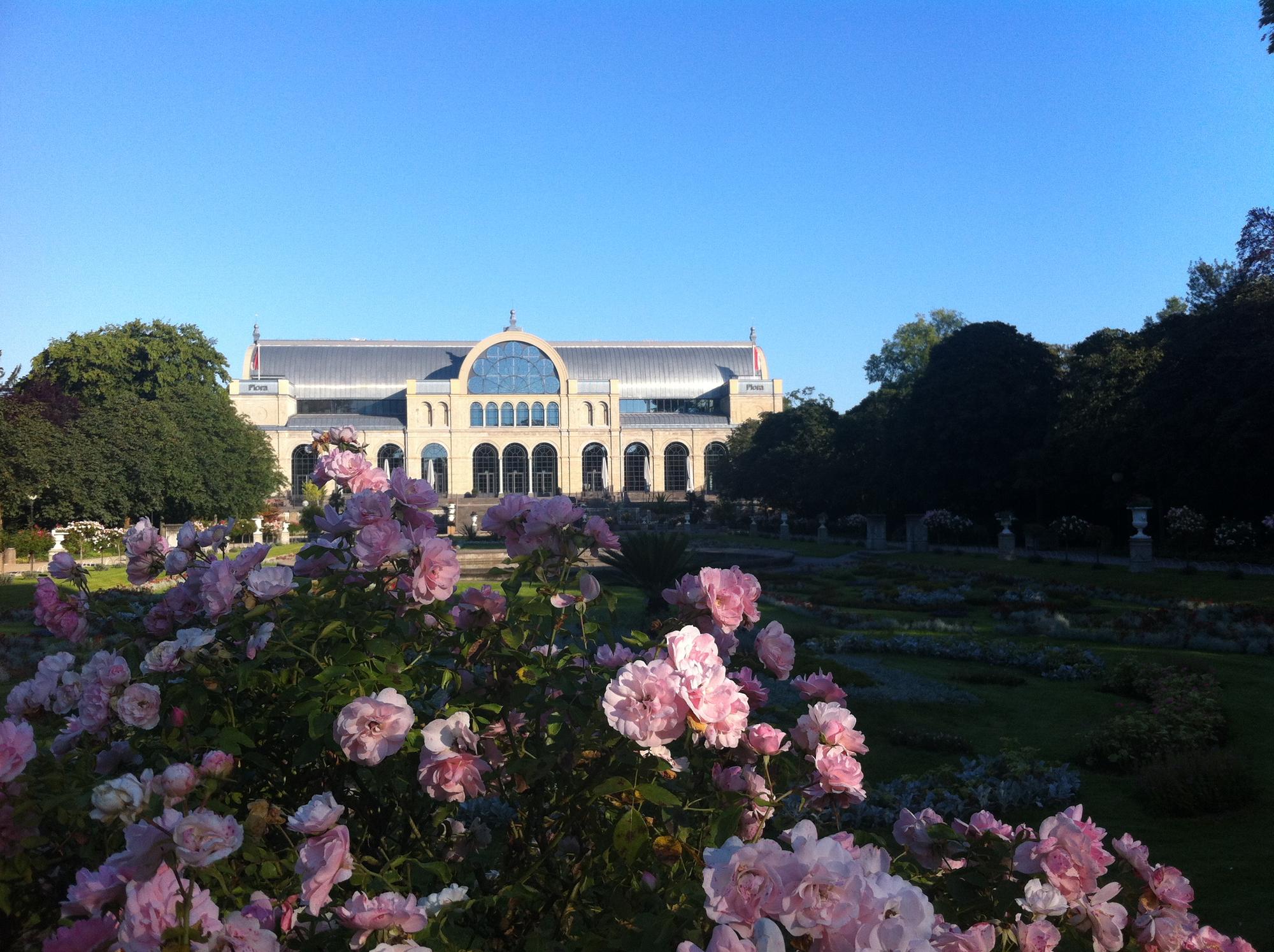 Botanischer Garten Reiche Foto 1