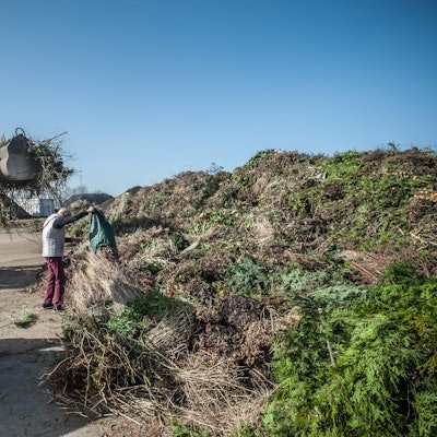 gruenschnitt-heiligeneiche-leverkusen_24022021ALF_7990