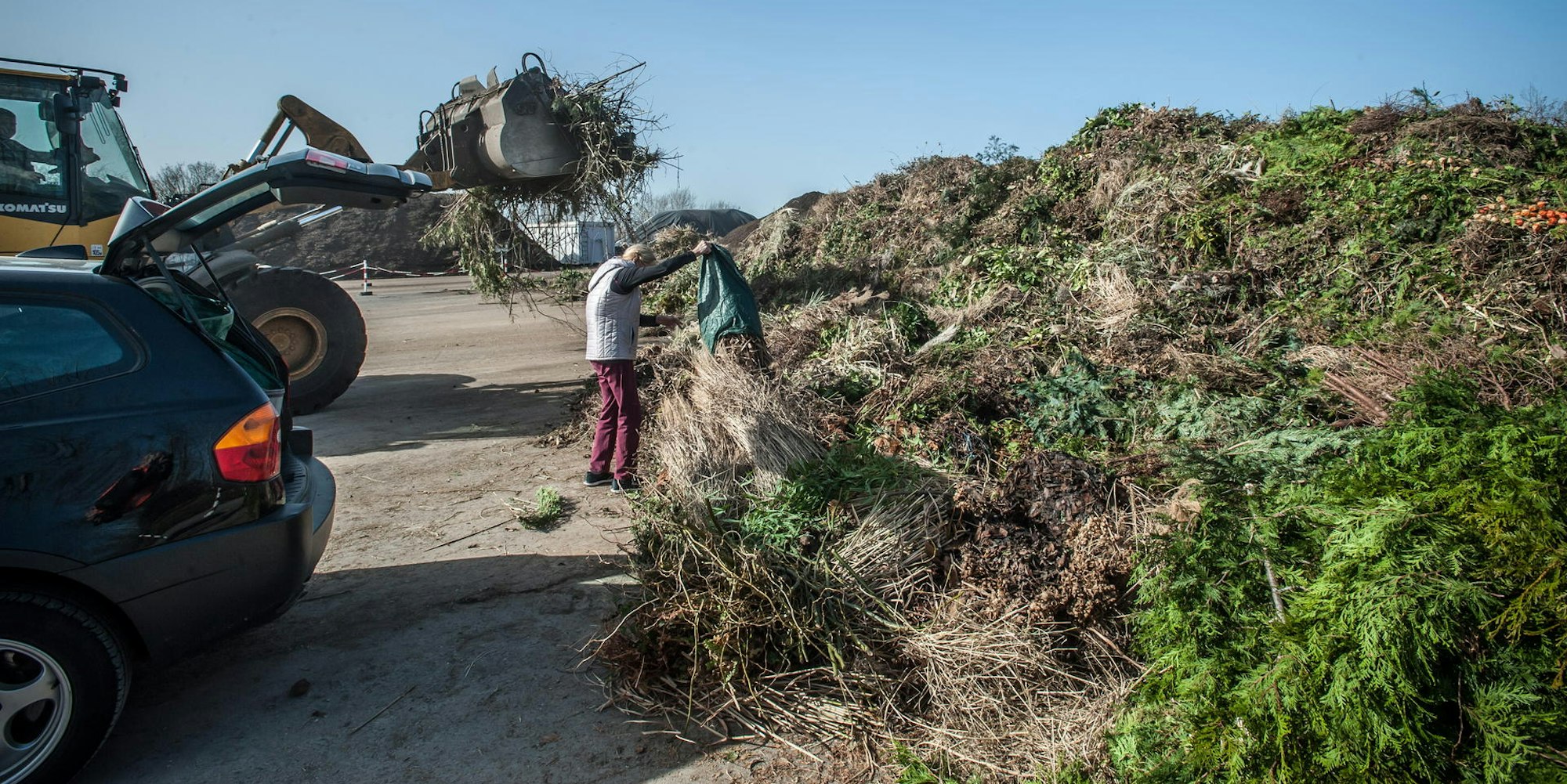 gruenschnitt-heiligeneiche-leverkusen_24022021ALF_7990