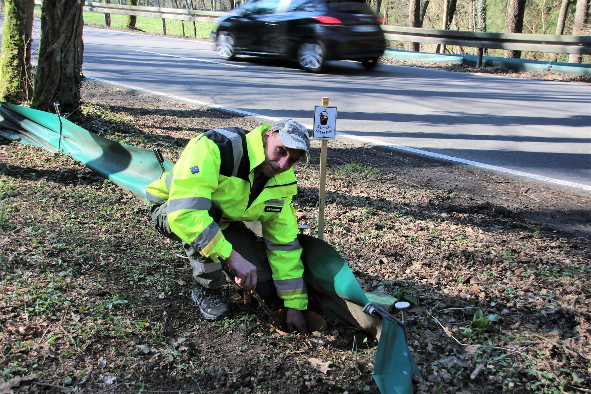 cr20220304amphibien_02