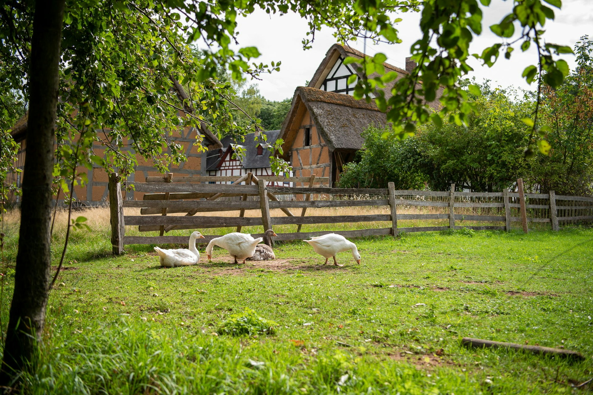 20210521-jre-mec-freilichtmuseum