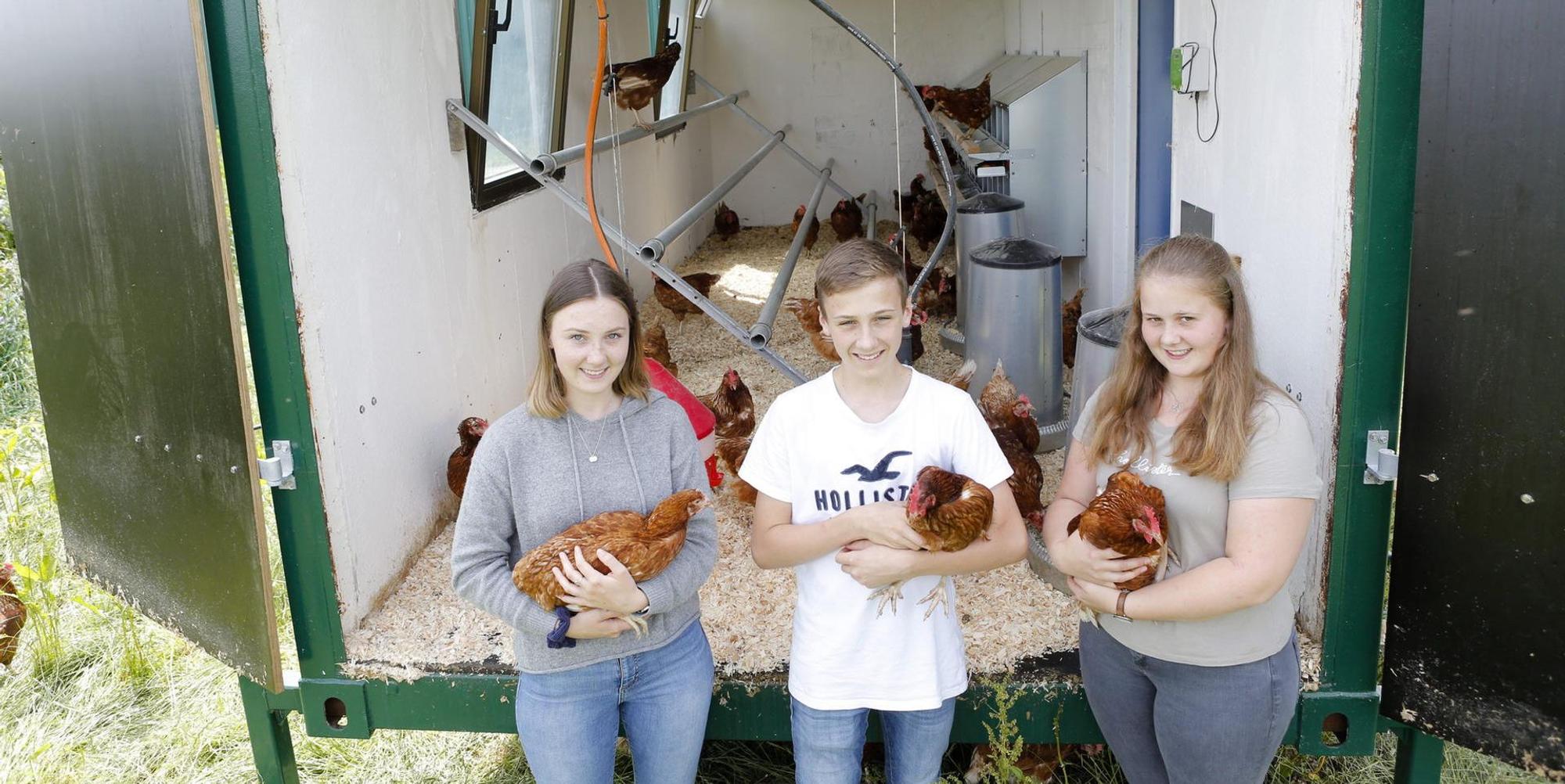 ladyfarm_jcs_001