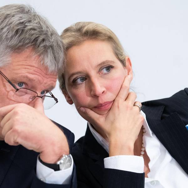 Alice Weidel_Jörg Meuthen