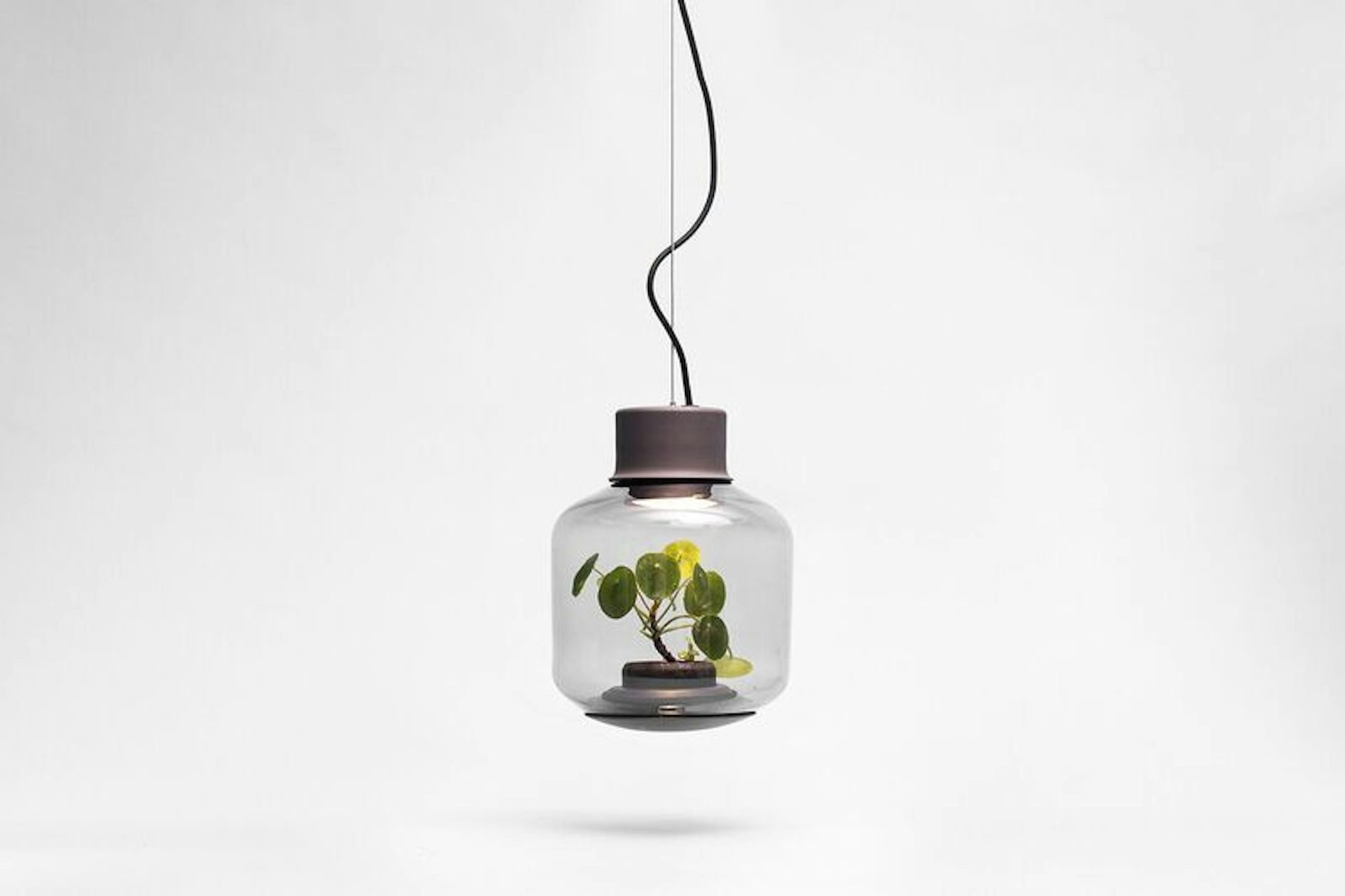 imm cologne licht erwin block