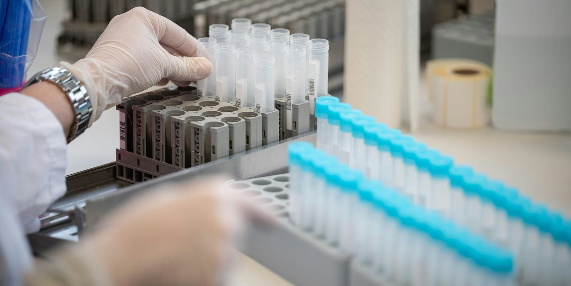 Coronatest Labor Untersuchung