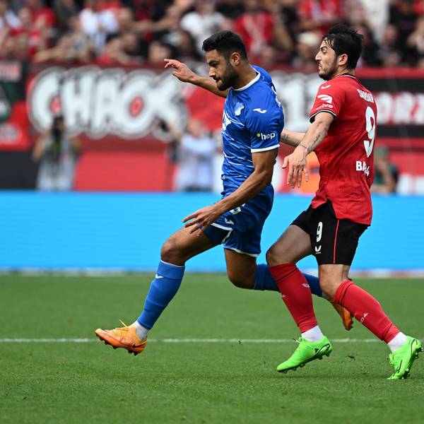 Bayer04 gg Hoffe
