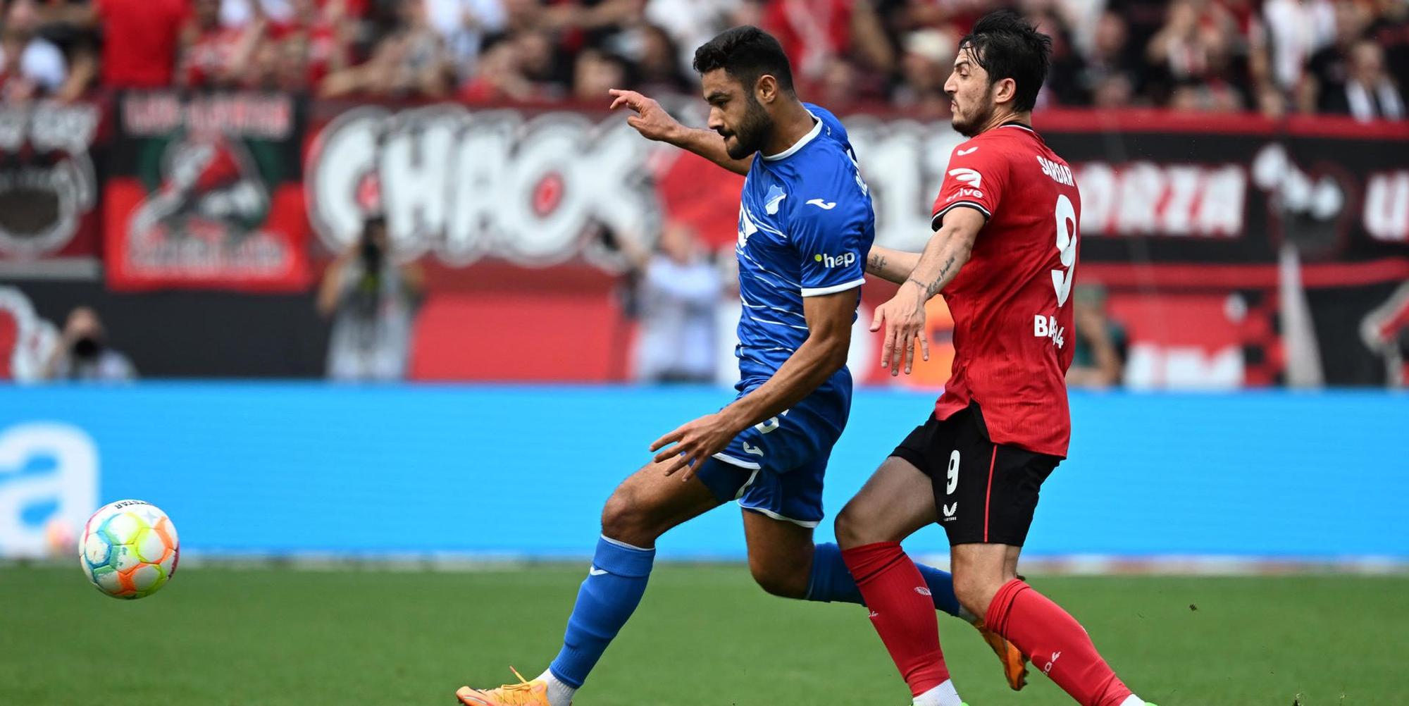 Bayer04 gg Hoffe