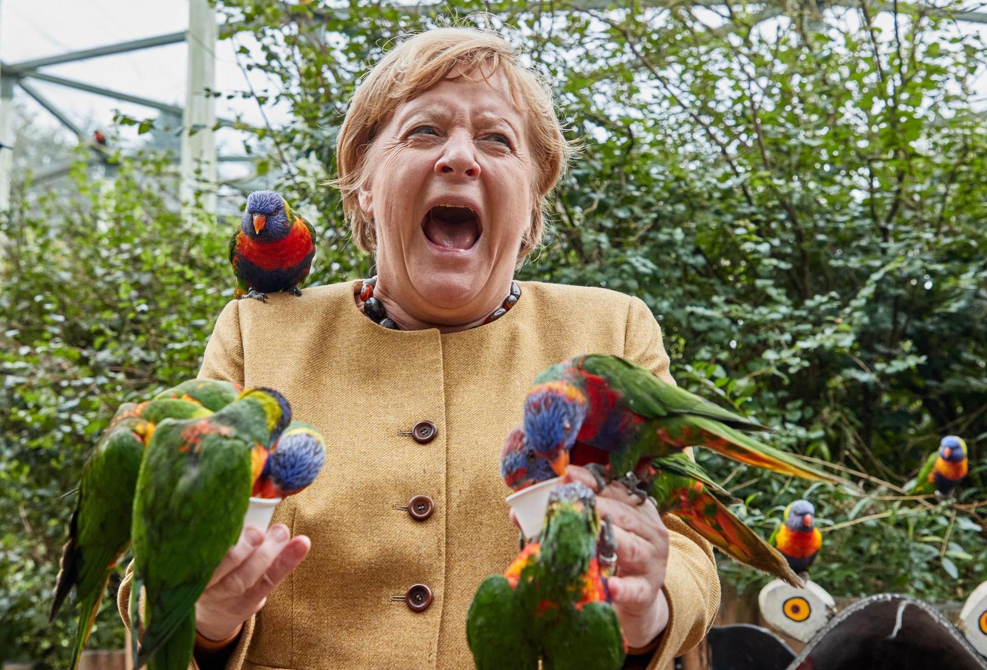 Merkel Bilder 9