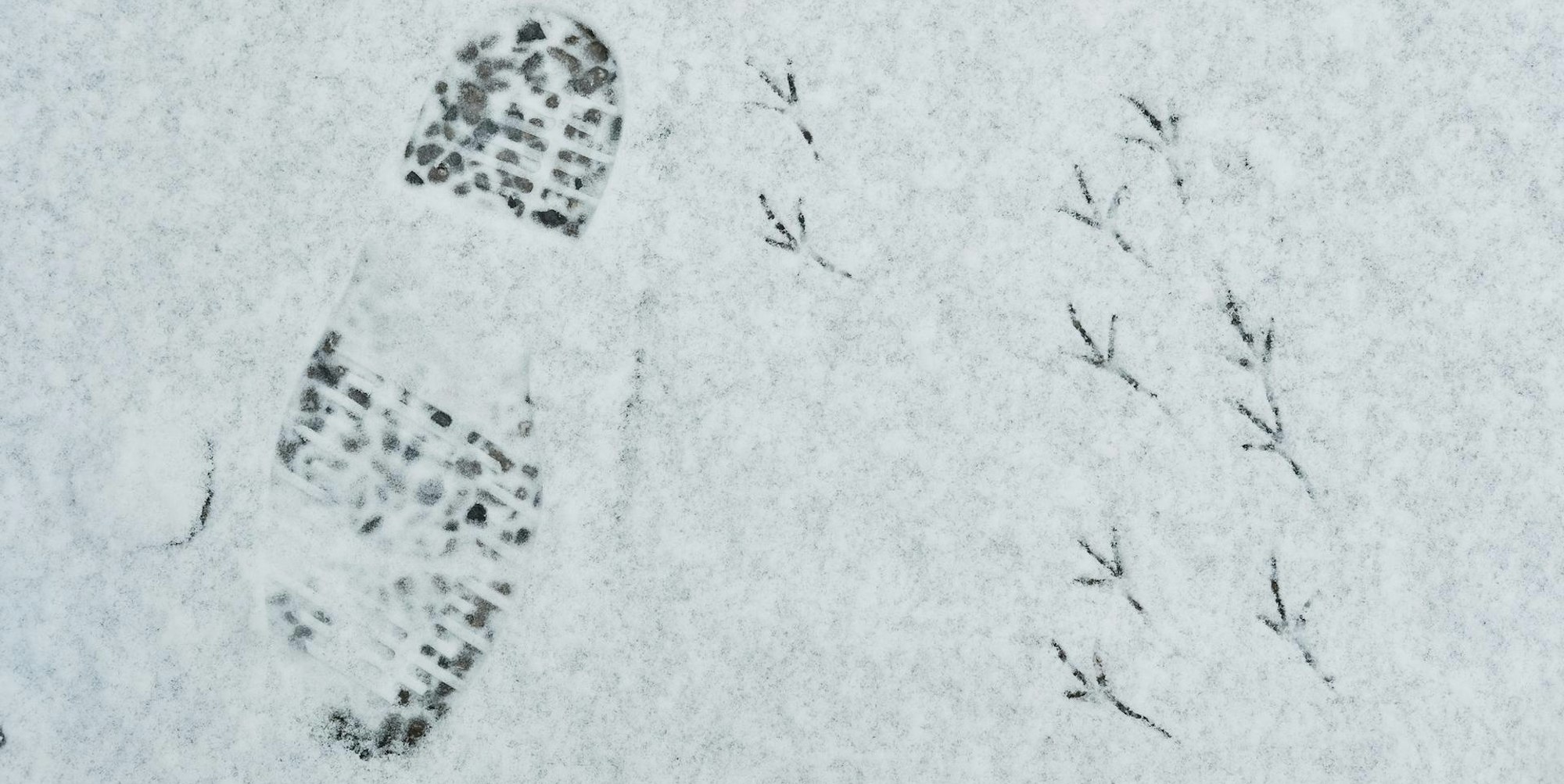 Schnee Spuren