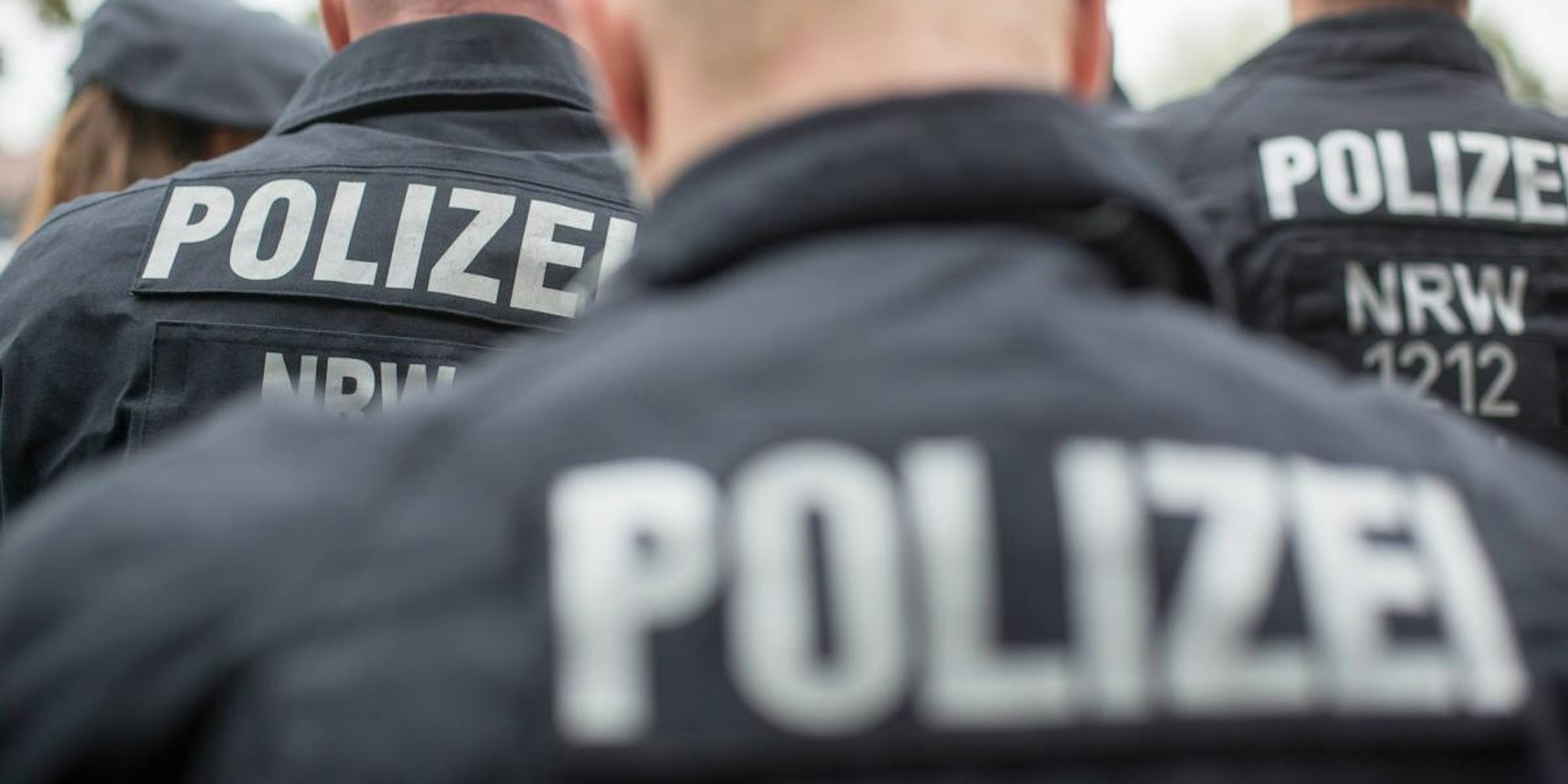 ST-2.84985541-HighRes (002)