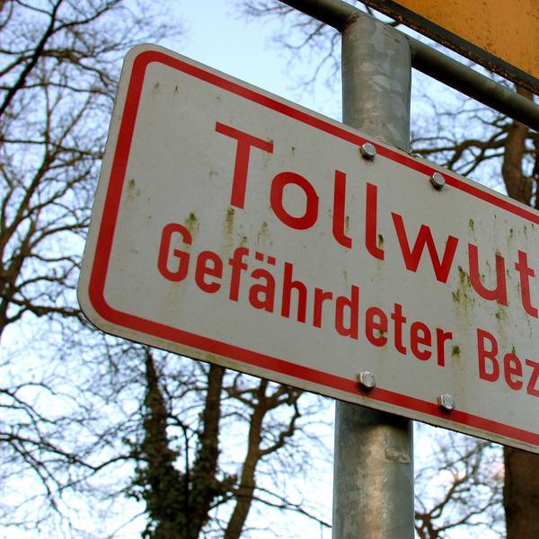 Tollwut_Schild_dpa