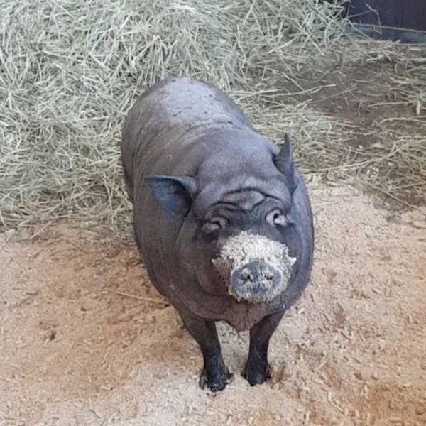 Kerpen_Tierschuetzerin_Anja_Berger_(4)