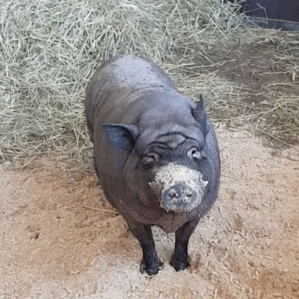 Kerpen_Tierschuetzerin_Anja_Berger_(4)