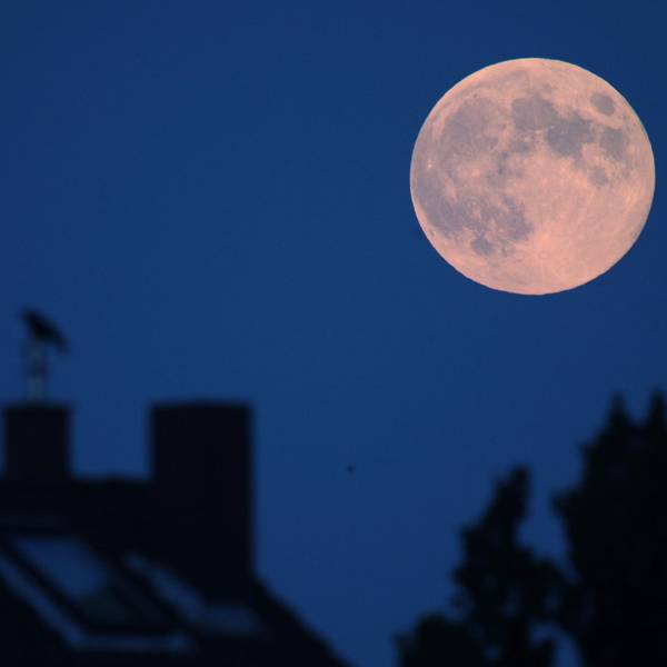 Ein Vollmond am Himmel