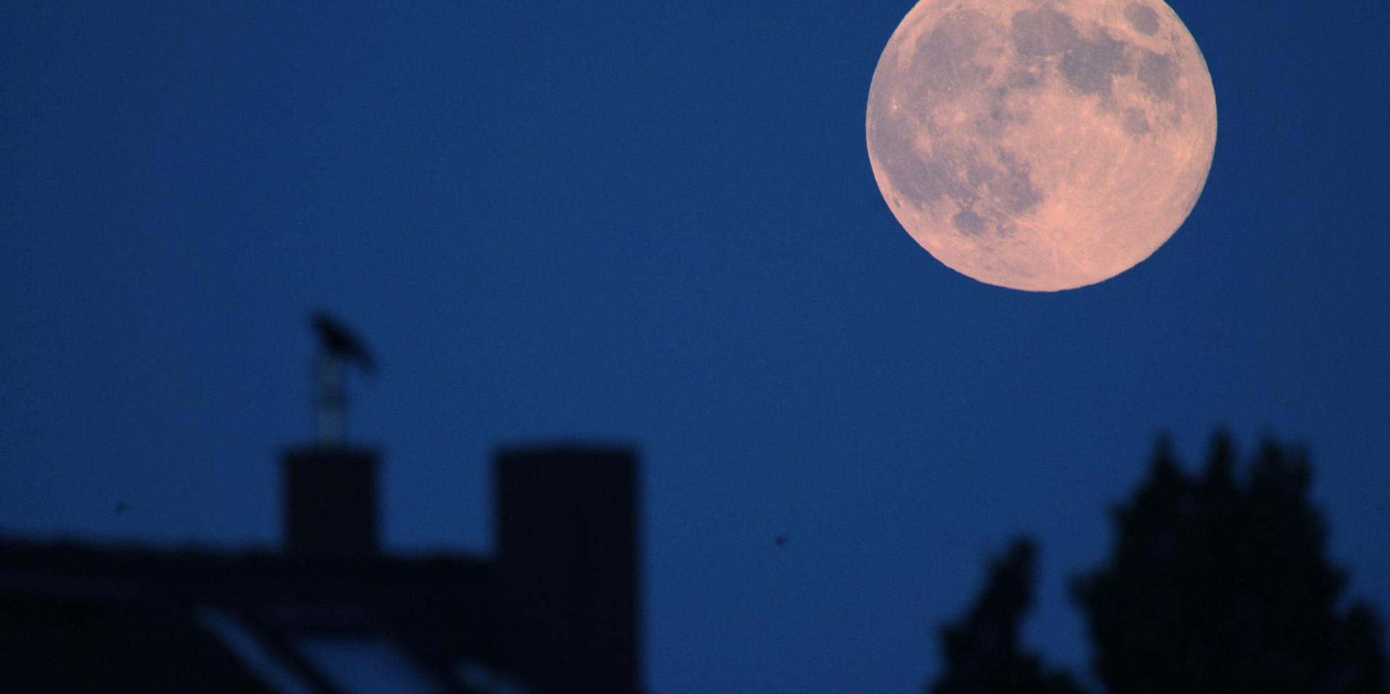 Ein Vollmond am Himmel