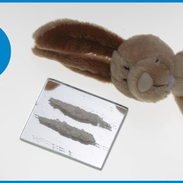 Ein Plüschhase liegt neben einer Linie Koks.